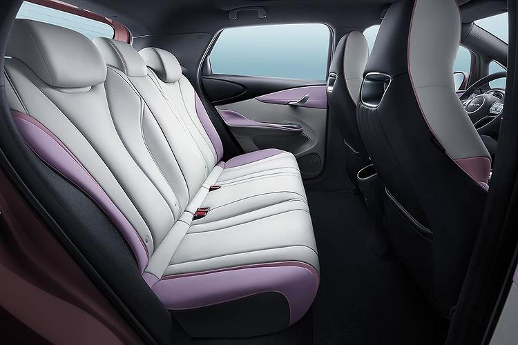 Asientos traseros BYD Dolphin
